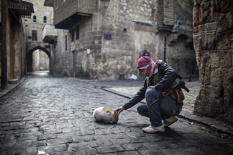 A Free Syrian Army fighter feeds a cat on Sunday, bread in the old city of Aleppo, Syria. The revolution against Syrian President Bashar Assad that began in March 2011, started with peaceful protests but morphed into a civil war that has killed more than 60,000 people, according to a recent United Nations recent estimate.