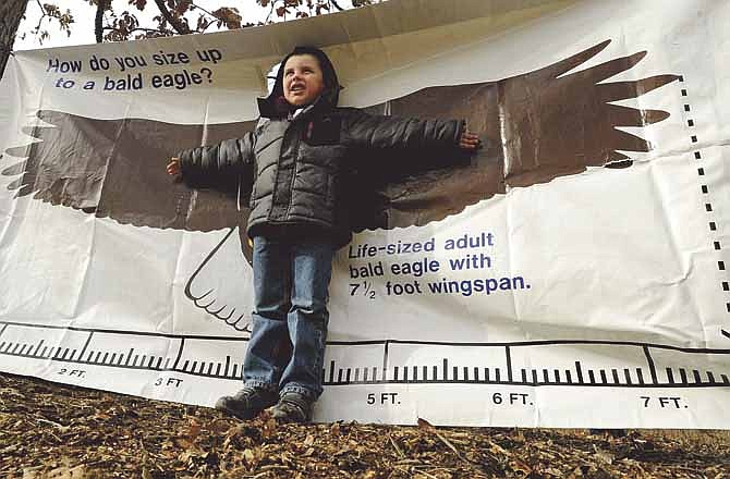 Braxton Sneller checks to see how his wingspan stacks up to that of a bald eagle while attending the Saturday's Eagle Adventure program at Runge Nature Center in Jefferson City.