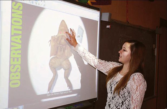 A SmartBoard is one of many technology tools that have helped acclimate eighth graders like Kyra Wiegers to the idea of frog dissection before the actual, hands-on lab in Patty Smith's science class at Cole County R-5 Schools in Eugene, Mo.