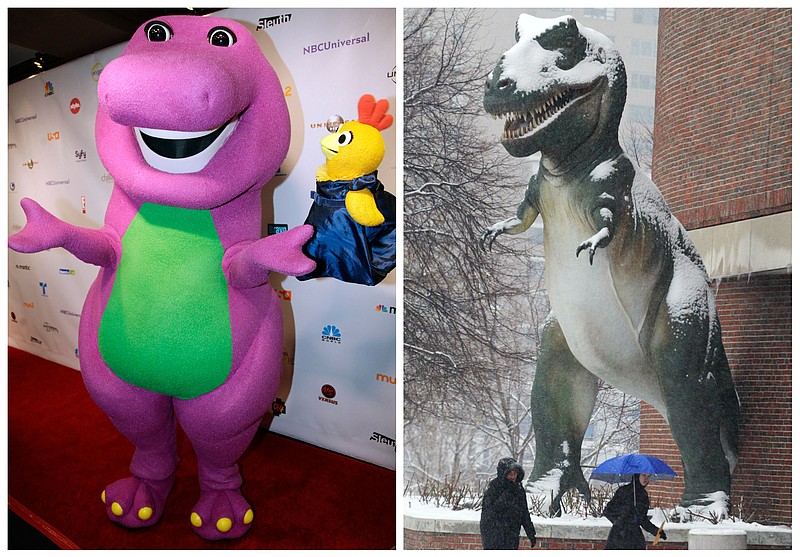 Barney the Dinosaur, left, in Chicago and a Tyrannosaurus Rex model is seen outside the Museum of Science in Boston. Did T. rex stand upright, with its tail on the ground? No. But a lot of young people seem to think so, a study suggests.