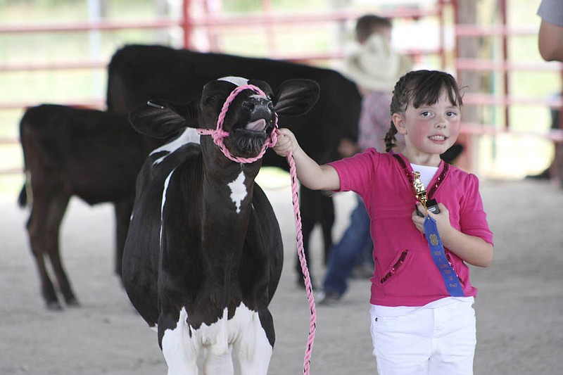 A tiny rancher shows off her calf during the Bucket Calf Show at the 2012 Kingdom of Callaway County Fair. This year, the 4-H and FFA home arts and livestock shows will be part of the first Callaway Youth Expo July 10-13.