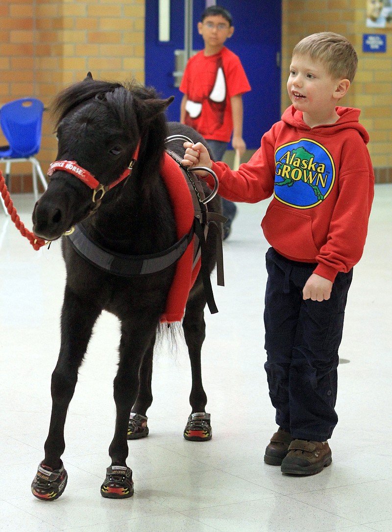 Zaiden Beattie, 4, grasps a specially made harness on his miniature service horse, Zoe, as he walks down a hallway of Russian Jack Elementary School on Wednesday in Anchorage, Alaska. Zaiden has been diagnosed with A-T, or ataxia-telangiectasia, a rare genetic disorder that affects balance and motor coordination.