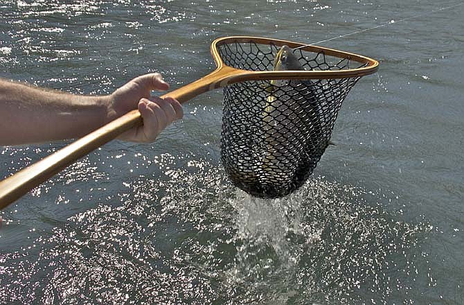 Brandon Butler nets a 15-pound brown trout below Bull Shoals Dam.Â 