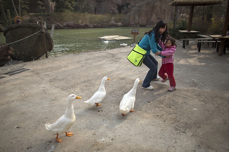 A woman and her daughter are frightened while ducks approach closely for food at an amusement park in Beijing, China, Wednesday, April 3, 2013. Scientists taking a first look at the genetics of the bird flu strain that recently killed two men in China said Wednesday the virus could be harder to track than its better-known cousin H5N1 because it might be able to spread silently among poultry without notice. The bird virus also seems to have adapted to be able to be able to sicken mammals like pigs.