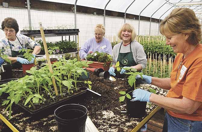 Gardening is where you meet friends and make new ones as, clockwise from left, Bernice Schroeder, Karen Basel, Linda Williamson and Julie Long, all members of the Central Missouri Master Gardeners, work at greenhouse in North Jefferson City to prepare for the annual plant sale this Saturday. 