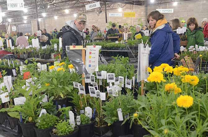 Bryan and Cheryl Wolf, along with hundreds of other people, look over the plants for sale at the Master Gardener's sale Saturday at the Jefferson City Jaycees Fairgrounds.