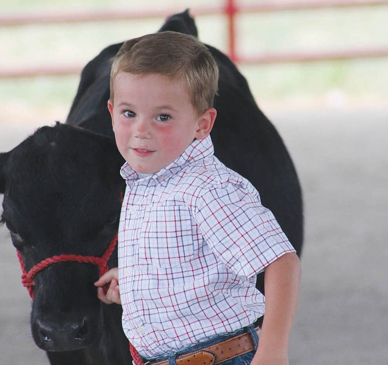 The Callaway County Youth Expo will now be held July 10-13 at the Auxvasse Lion's Club Park, which originally housed the Callaway County Fairgrounds. The event, themed "Our County, Our Expo, Our Turn," will feature 4-H livestock shows as well as a diverse variety of youth organizations, ranging from agriculture, scouting and church groups.