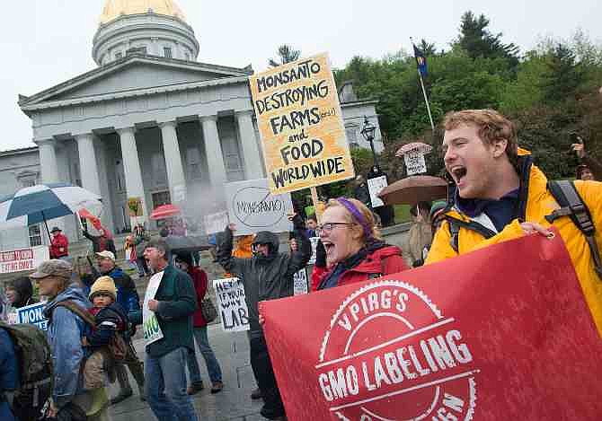 People chant and carry signs during a protest against Monsanto in front of the capitol building in Montpelier, Vt. on Saturday, May 25, 2013. Marches and rallies against seed giant Monsanto were held across the U.S. and in dozens of other countries Saturday. Protesters say they want to call attention to the dangers posed by genetically modified food and the food giants that produce it. Monsanto Co., based in St. Louis, said Saturday its seeds improve agriculture by helping farmers produce more from their land while conserving resources such as water and energy.