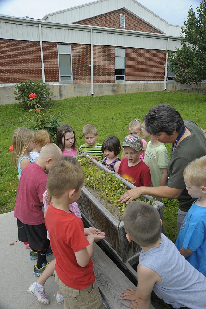 Incoming kindergartners at Russellville Elementary School explored the learning garden, including this seed garden, where they were able to see the growing plants above the ground and the roots in the soil below. 