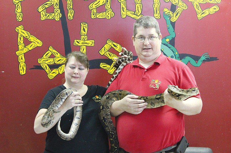 Racheal and Tom McDowell pose with a ball pyton, California kingsnake and Columbian red-tailed boa at Paradise Pets, which closes June 22. It was Tom's love of reptiles that lead to the couple opening Paradise Pets eight years ago.