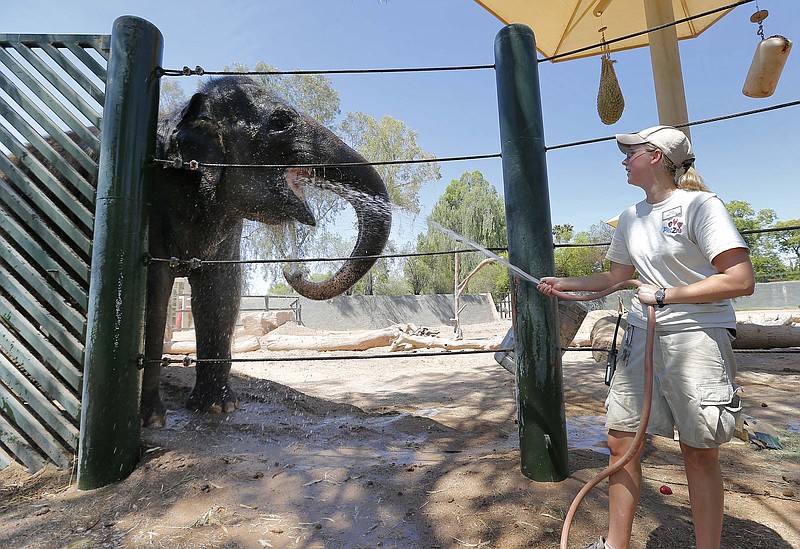 Handler Cheryl Becker cools off an Indian elephant Friday at the Phoenix Zoo in Phoenix. Excessive heat warnings will continue for much of the Desert Southwest as building high pressure triggers major warming in eastern California, Nevada, and Arizona. Dangerously hot temperatures are expected across the Arizona deserts throughout the week with a high of 118 Friday.