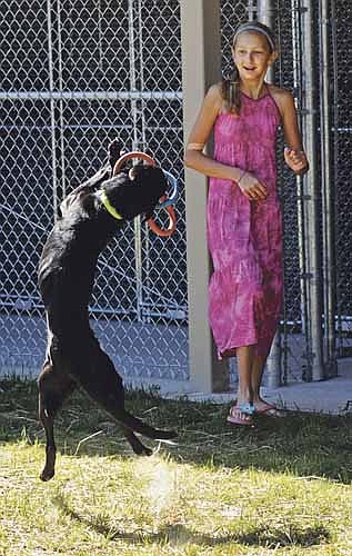 Elizabeth Hentges watches as Waylon jumps up to catch a chew toy as the two play around at the Jefferson City Animal Shelter following the ceremonial opening of the new facility. (File photo)