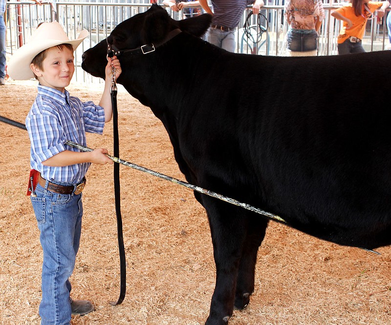 Six-year-old Gage Baker of Fulton was the overall best-of-show winner with the Grand Supreme Champion Limousin Junior Heifer he entered in the 4-H and FFA Breeding Beef Show at the Callaway Youth Expo Saturday in Auxvasse.
