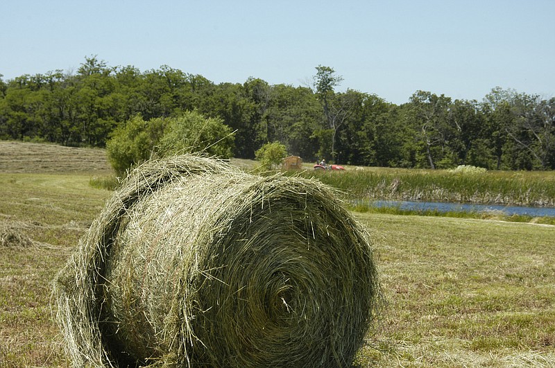 Democrat photo / David A. Wilson
A fresh bale of hay in a filed in the western part of Moniteau County.