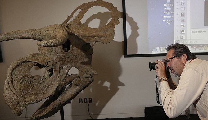 A reconstruction of a "Nasutoceratops titusi" is photographed following a news conference at the Natural History Museum of Utah on Wednesday in Salt Lake City. Researchers in Salt Lake City say fossil-hunters unearthed the bones of a new type of big-nosed, horned-faced dinosaur in southern Utah. 