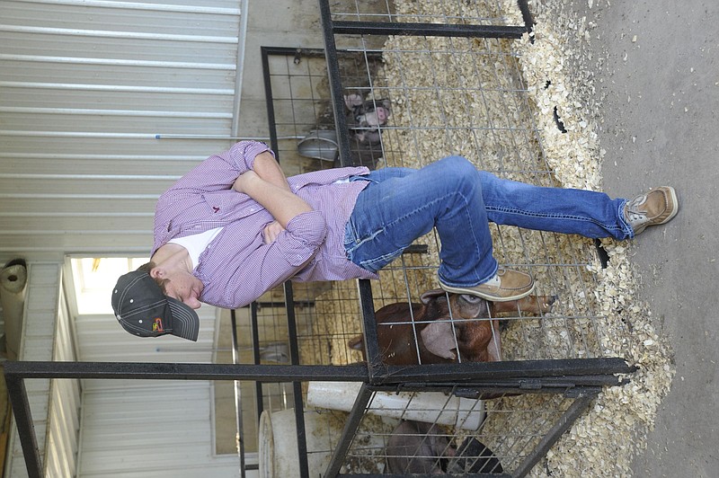 Each of his show hogs has personality, said Clayton Thompson who is the Cole County R-1 High School FFA Chapter president. News Tribune/Michelle Brooks