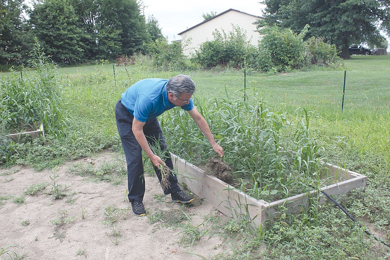 SERVE Executive Director Steve Mallinckrodt pulls weeds out of one of the four new raised beds in their vegetable garden Monday. SERVE is looking for volunteers to help tend the garden, which supplements the Callaway Action Network's food pantry with fresh, nutritious produce.