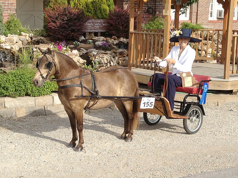 Cassidy Jones of Auxvasse took first place in the Pony Cart class at the State Fair Horse Show, and placed in several other classes as well. Rylea Troesser of Fulton also placed in multiple classes. Jayme Fulkerson won second place in the Pony Cart class.