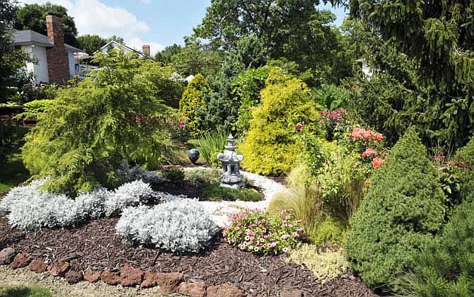 
Jim and Jenelle Schwieterman's yard features a number of types of conifers with some being only a few feet tall, like those in the foreground, to 40 feet. They are scattered and grouped throughout the couple's corner lot.