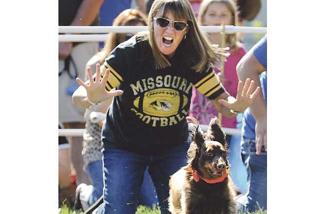 Cathy Carter yells out some encouragement after releasing an eager Dexter from the starting line during the 2012 Oktoberfest dachshund races in Jefferson City.