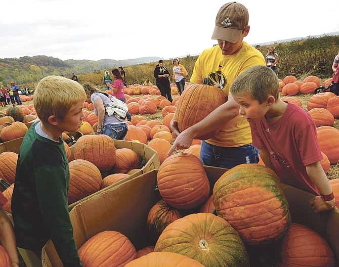Brothers Ryan, right, and Tyler Stevens, left, team up with their dad Robert Stevens as they dig through boxes in hopes of finding the perfect pumpkin during the annual Hartsburg Pumpkin Festival last year.