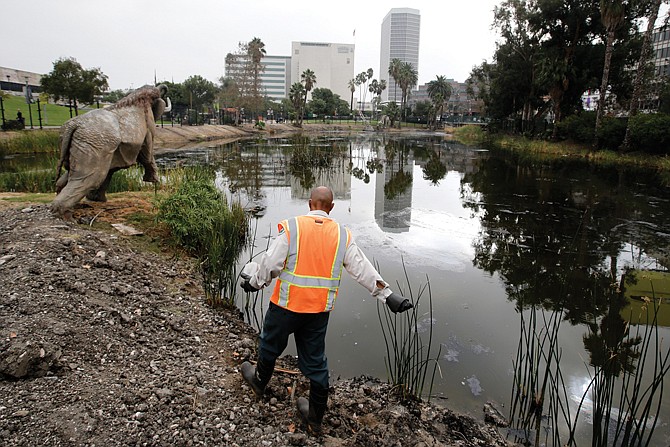 Victor Ball sprinkles mosquito repelling granules along Lake Pit outside the George C. Page Museum at the La Brea Tar Pits in Los Angeles. On Monday, the museum celebrated a century of excavation at the tar pits, considered the richest and most diverse collection of Ice Age fossils.