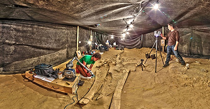 Smithsonian 3-D Digitization coordinators Adam Metallo, left, and Vince Rossi use 3-D technology to scan a fossilized whale discovered beside the Pan American Highway in the Atacama Desert near Caldera, Chile. The Smithsonian launched a new 3D viewer online to give people a closer look at artifacts in their own homes.
