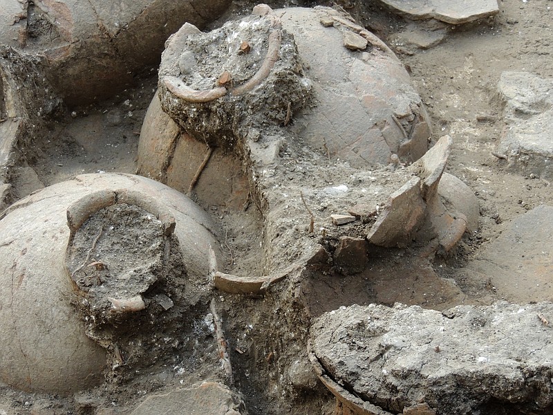 Jars that are 3,700 years old were found in the ruins of a recently discovered wine cellar in a Canaanite palace that dates back to approximately 1700 B.C., near the modern town of Nahariya in northern Israel. Researchers found 40 ceramic jars, each big enough to hold about 13 gallons, in a single room. There may be more wine stored elsewhere, but the amount found so far wouldn't be enough to supply the local population, which is why researchers believe it was reserved for palace use, said Eric Cline of George Washington University.