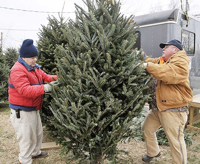 Dick Maurer, left, and Walt Shull, both volunteers at the Optimist Tree Lot on the corner of Washington and Broadway streets, keep busy throughout the day with this year's delivery. They drill holes into the bottoms of the trees to set them on stands so customers can look at the tree all the way around it.