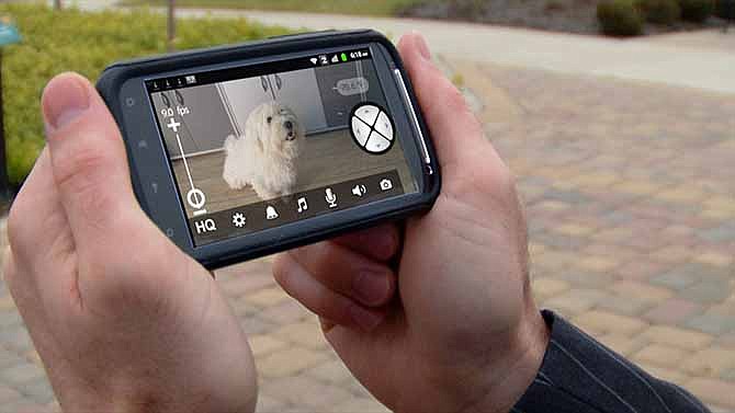 This undated photo provided by Motorola shows a view displayed by Motorola's Scout1 Wi-Fi Pet Monitor, a gadget that lets pet lovers keep an eye on their pets while they're away. In addition to viewing their furry friends remotely, users can pan, tilt and zoom their cameras through their smartphone, tablet or desktop computer. The device is just one of the slightly bizarre gifts available this year for the techie who has everything.