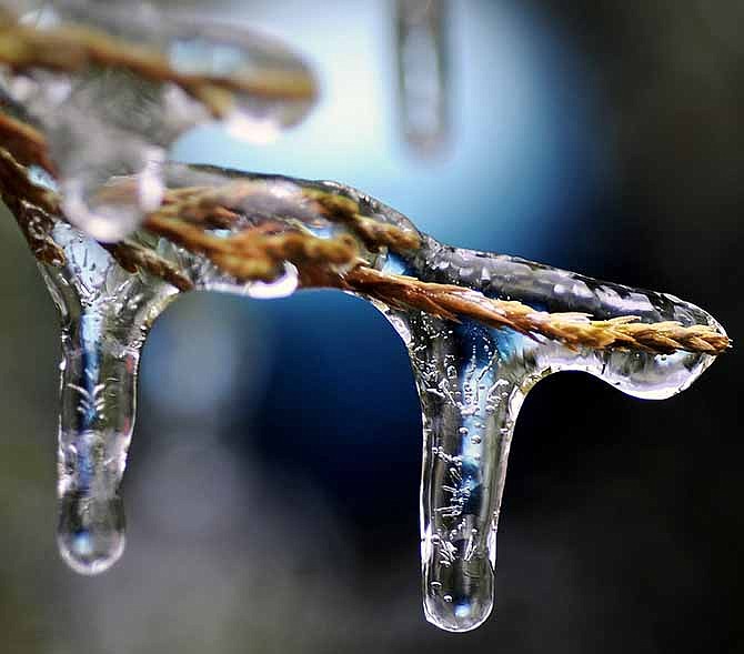 Ice encapsulates a branch tip on the Jefferson City mayor's Christmas tree Saturday following the previous night's freezing rain. For those struggling emotionally with life's "icy" situations, others in the holiday spirit can be a stark contrast to feelings of loneliness or that no one cares about them.