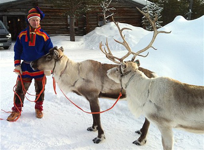 A Sami handler in traditional clothing holds two of his herd in Saariselka, Finnish Lapland. Reindeer are featured as a Christmas symbol, but on Europes northern fringe, the migratory mammals are part of everyday life all year round.