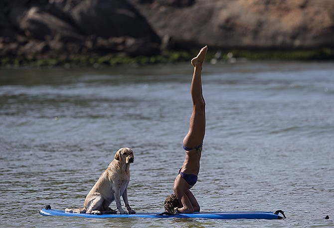 Cecilia Canetti practices yoga Thursday on a stand-up paddle board as her dog Polo accompanies her off Barra de Tijuca beach in Rio de Janeiro, Brazil. Canetti is training her dog to accompany her as she stand-up paddle surfs, along with other paddle surfing dog owners preparing for an upcoming competition of paddle surfers who compete with their dogs.