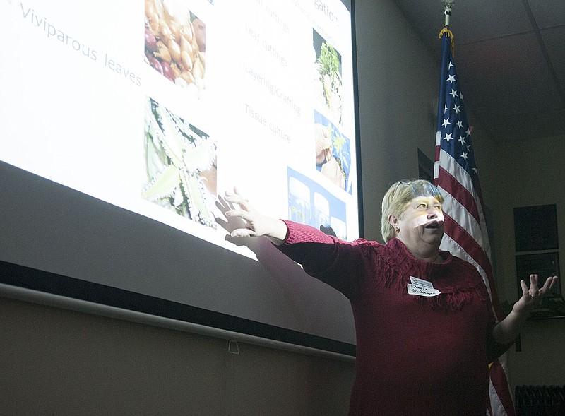 Staria Vanderpool, biology professor at William Woods University and master gardener, gives a talk on plant reproduction to about 36 people Saturday at the Callaway County Extension. Her lecture was a part of the second annual seed exchange event.