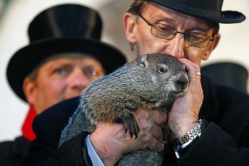 Punxsutawney Phil is held by Ron Ploucha after emerging from his burrow Sunda on Gobblers Knob in Punxsutawney, Pa., to see his shadow and forecast six more weeks of winter weather. The prediction this year fell on the same day as Super Bowl Sunday.  