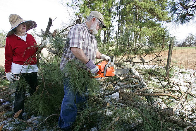 Stan and Tedda Howard work to clear fallen limbs from their pasture fence as they have been without power since this week's ice storm in Williston, SC.  For thousands of South Carolina residents, it will be a long wait to get the power back. About 295,000 customers in the state weathered another night in the dark.