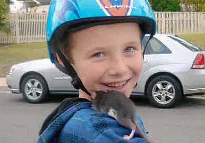 This undated photo released by Gomez Trial Attorneys courtesy the Pankey family, shows Aidan Pankey and one of his pet rats. Lawyers representing the Pankey family have filed a lawsuit against Petco Animal Supplies Inc., saying Aidan died from rat-bite fever contracted from a male rat purchased at one of the national chain's stores. 