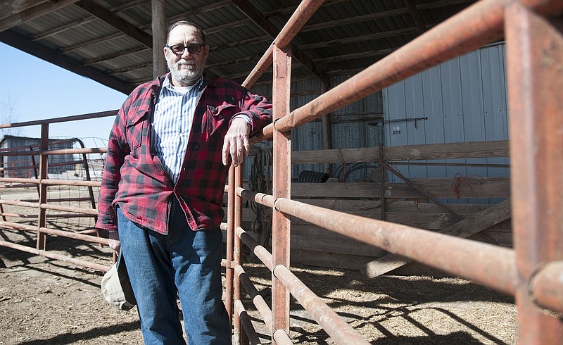 Hadley Linnenbringer, longtime farmer in Hatton, stands inside his cattle barn for a photo Friday. The Kingdom Supper Committee selected Linnenbringer for the Settler's Award because of his continued involvement in the community, particularly agricultural groups like the Hatton 4H club and Callaway Livestock Producers. He will be presented with the honor at the Kingdom Supper on March 25.