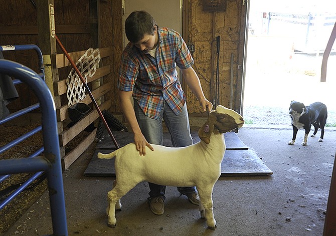 Trent Kempker examines the muscular areas judges look for in a champion market wether goat. 