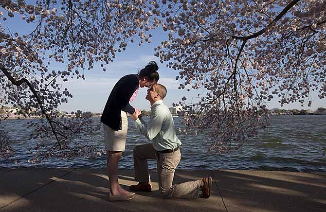 Steven Paska, 26, right, of Arlington, Va., asks his girlfriend of two years Jessica Deegan, 27, to marry him as cherry blossom trees in peak bloom line the tidal basin with the Jefferson Memorial in the background in Washington, Thursday, April 10, 2014. Deegan said yes to the surprise marriage proposal.