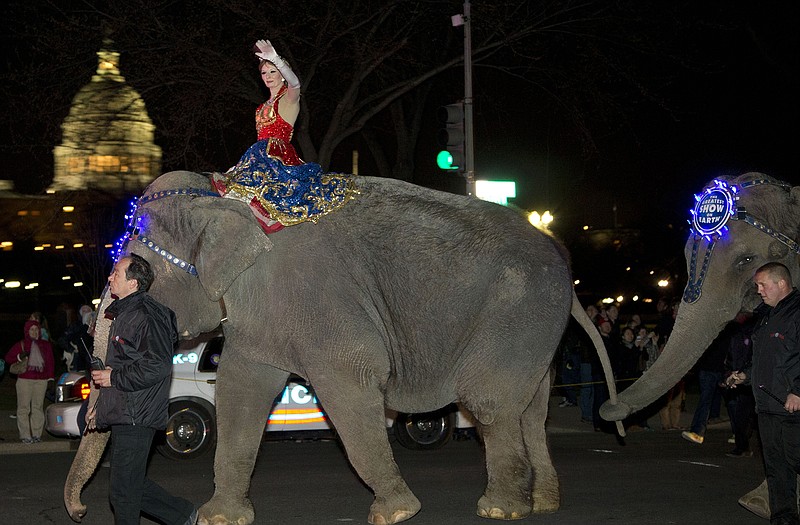 A performer waves as elephants with the Ringling Bros. and Barnum & Bailey show walk in front of the Capitol in Washington on their way to 2013 performance.