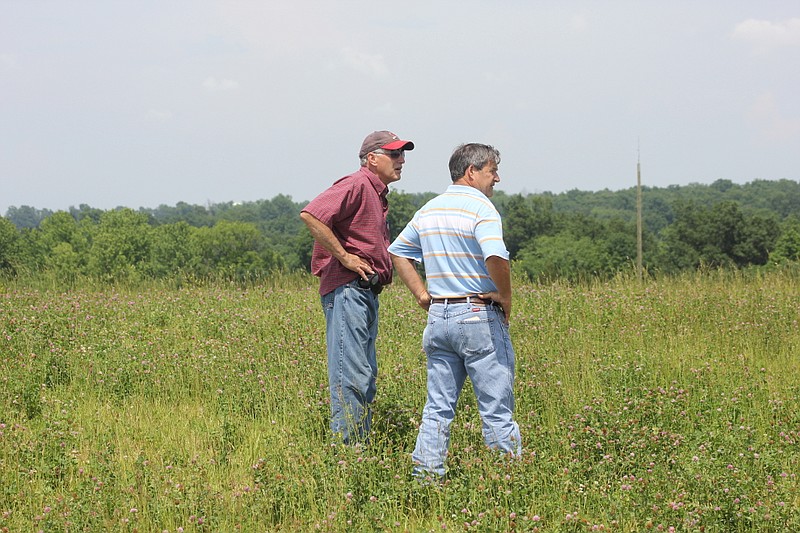 DNR Environmental Specialist Larry Teson and Fulton Solid Waste Manager J.C. Miller look at clover, fescue and other grass coverage at the Fulton landfill Friday.