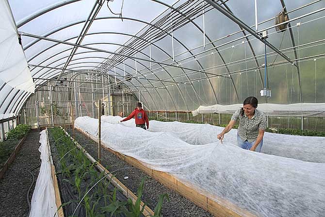 Stephanie Gaiser, right, and her son, Seth, place a cover for added protection over a raised bed planted with eggplant inside the family's seasonal high tunnel on Friday, May 23, 2014, in Palmer, Alaska. The USDA's Natural Resource Conservation Service offers financial assistance to growers using the tall hoop houses to extend growing seasons, and has awarded more funding to Alaska for them than any other state. 