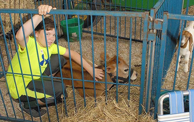 During the Animal Welfare event on Saturday, Dylan Kopp pets a Jersey cow named Norman who has been bottle fed since he was born in mid-February at Lincoln University's George Washington Carver Farm, 