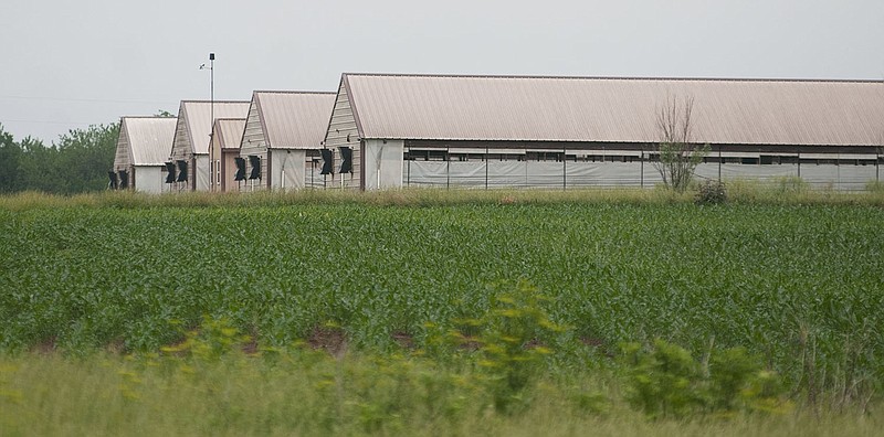 Horstmeier Farms' hog confinement consists of eight buildings and less than 2,000 pigs are currently. Eichelberger Farms, Inc., an Iowa-based company, could build a site with a total capacity of 7,600 sows and 2,720 swine.
