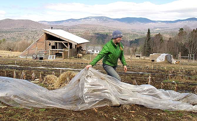 In this April 24, 2014, file photo, Katie Spring rolls up plastic that was used to cover certain plants during the winter in a field at the Good Heart Farmstead in Worcester, Vt. Spring and her husband Edge Fuentes, who both own the farm, back the GMO labeling bill passed by the Vermont legislature. Genetically modified foods have been around for years, but most Americans have no idea if they are eating them. The Food and Drug Administration says they don't need to be labeled, so the state of Vermont has moved forward on its own. On May 8, Gov. Peter Shumlin signed legislation making the state the first to require labeling of GMOs _ technically genetically modified organisms.