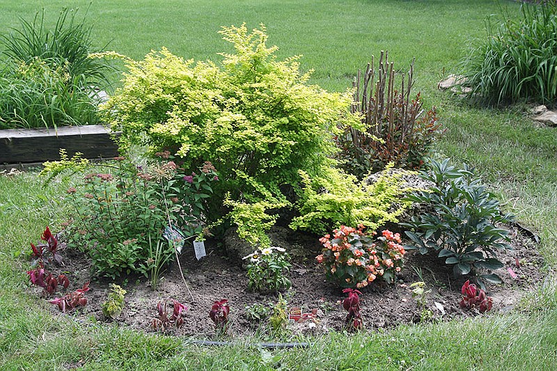 Long-time Fulton resident and Garden Club member Betty Hardin's backyard, one of the houses on the list of stops for the garden tour that will be held Thursday, June 26.