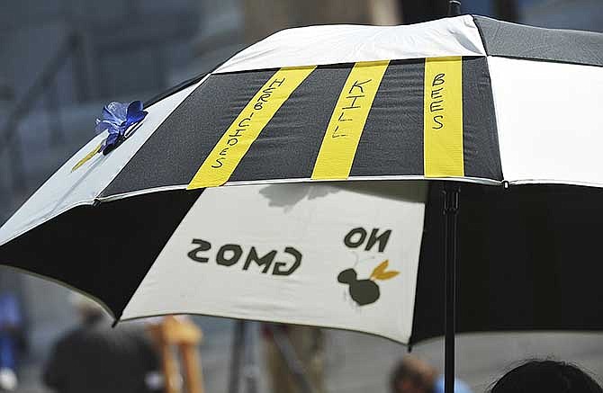 Carrying an umbrella with the message "Herbicides Kill Bees" and "NO GMOs", an opponent joined a small group on the Capitol grounds in Jefferson City on Thursday to oppose the proposed 'Right to Farm' amendment to the Missouri Constitution.