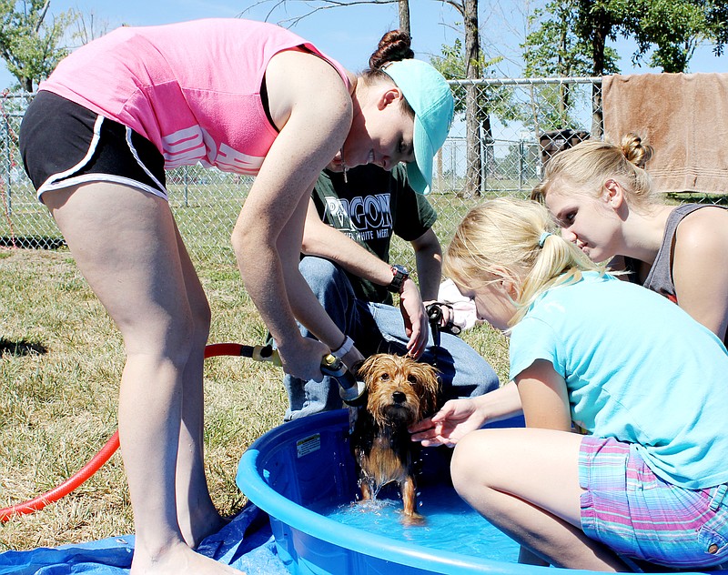 Max, owned by Bradley Atkisson of Fulton,  gets a bath during the Callaway County Humane Society's pet wash last September. The organization will hos another "Barks and Bubbles" event from 10 a.m. to 1 p.m. Saturday at the Fulton Dog Park.