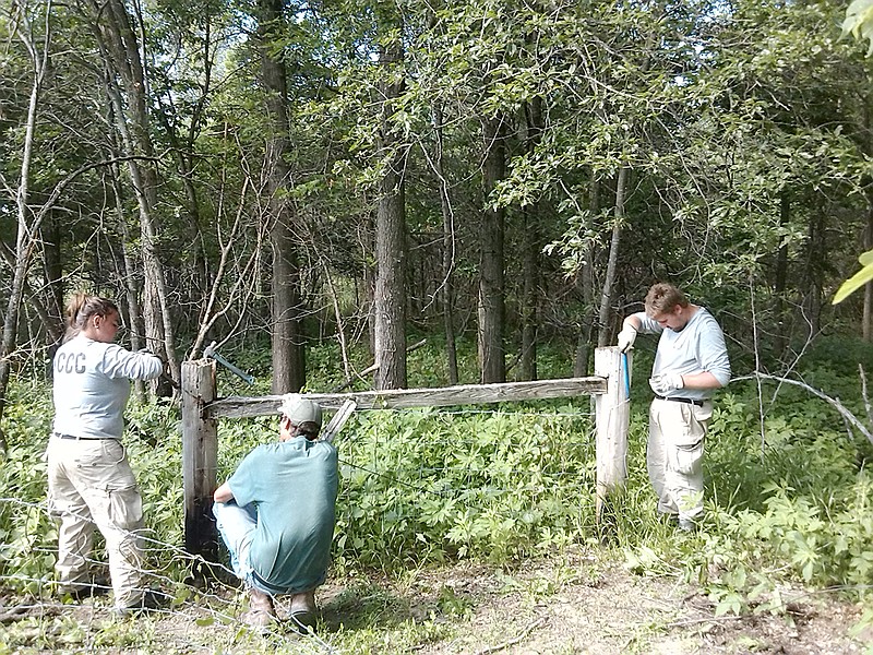 Members of AmeriCorps team Earth 2 work on fencing in the Whetstone Creek Conservation Area in Williamsburg. The team has spent the past several weeks working on various conservation projects in the area, including helping tag geese in Fulton Wednesday.